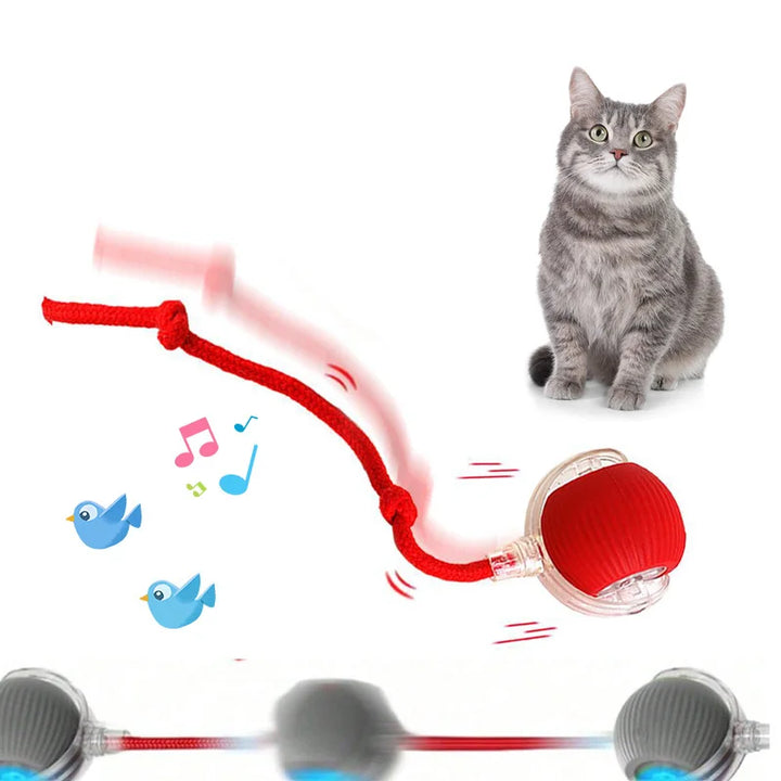 Interactive Electric Cat Toy Ball with Automatic Movement – Fun, Stimulation & Boredom Relief