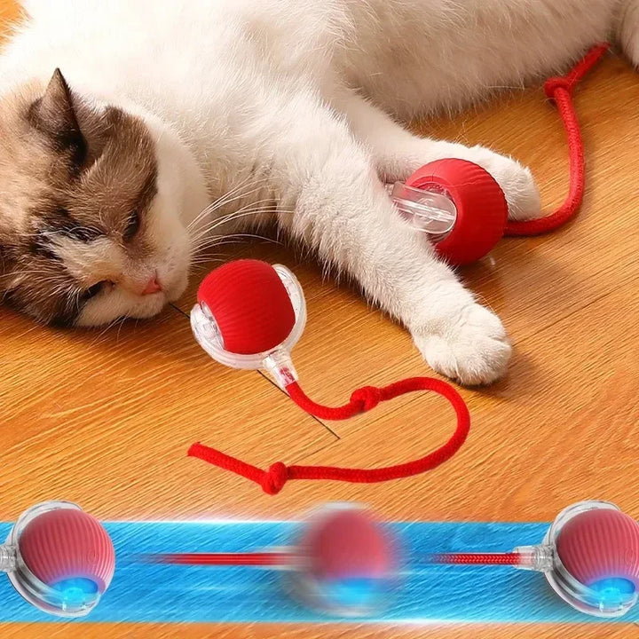 Interactive Electric Cat Toy Ball with Automatic Movement – Fun, Stimulation & Boredom Relief