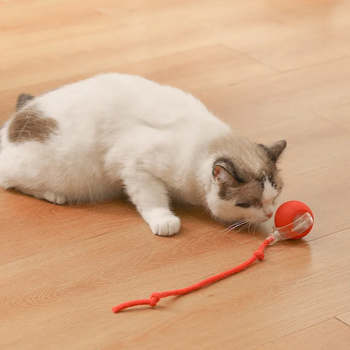 Interactive Electric Cat Toy Ball with Automatic Movement – Fun, Stimulation & Boredom Relief